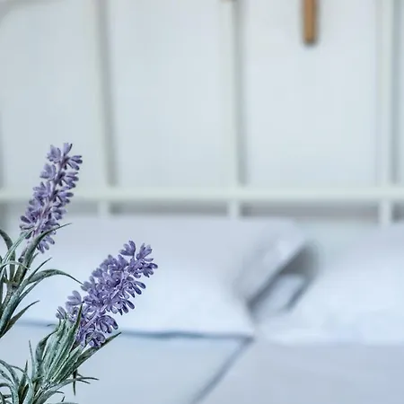 Διαμέρισμα Our House